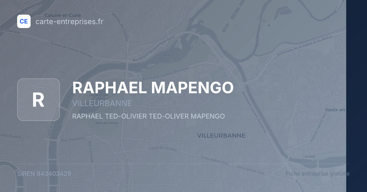 RAPHAEL MAPENGO — 843403429 — fiche entreprise