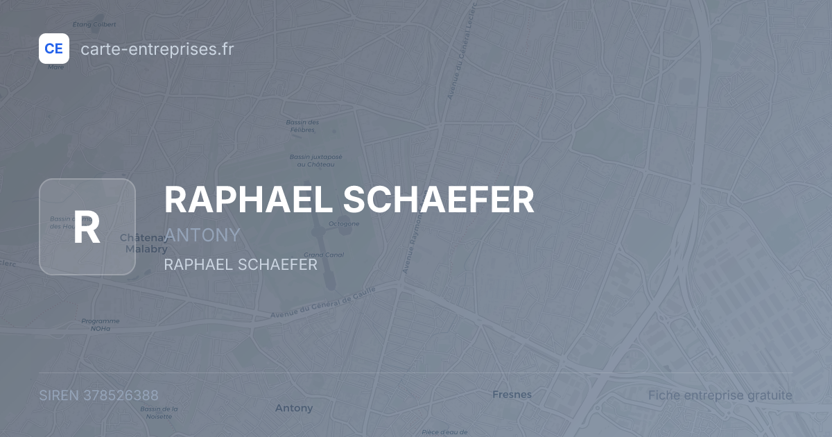 RAPHAEL SCHAEFER — 378526388 — fiche entreprise