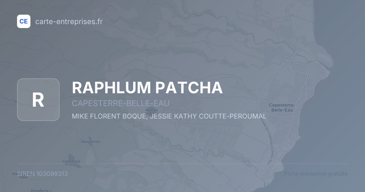 RAPHLUM PATCHA — 103099313 — fiche entreprise