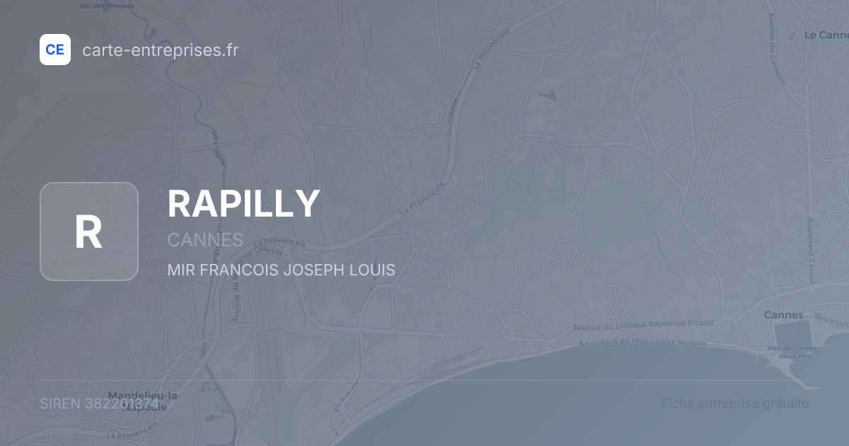 RAPILLY — 382201374 — fiche entreprise