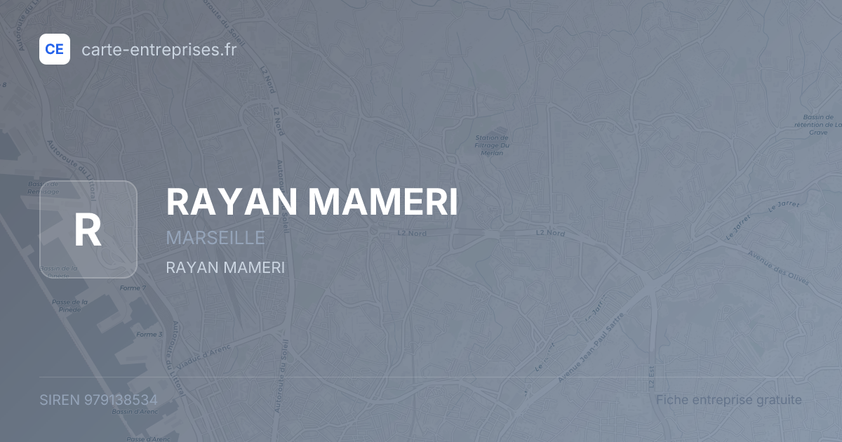 RAYAN MAMERI — 979138534 — fiche entreprise