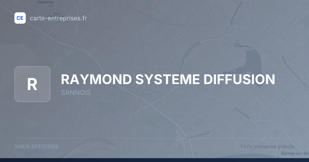 RAYMOND SYSTEME DIFFUSION — 393001599 — fiche entreprise