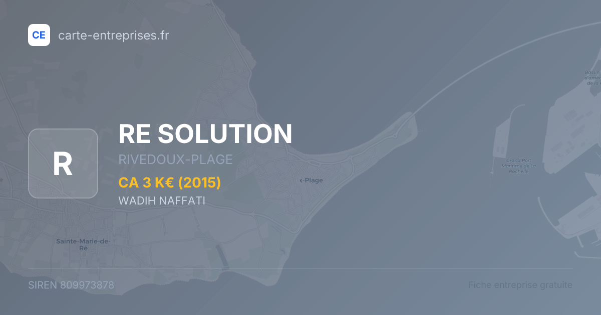RE SOLUTION — 809973878 — fiche entreprise