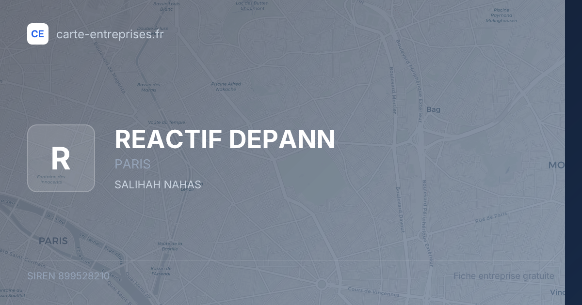 REACTIF DEPANN — 899528210 — fiche entreprise