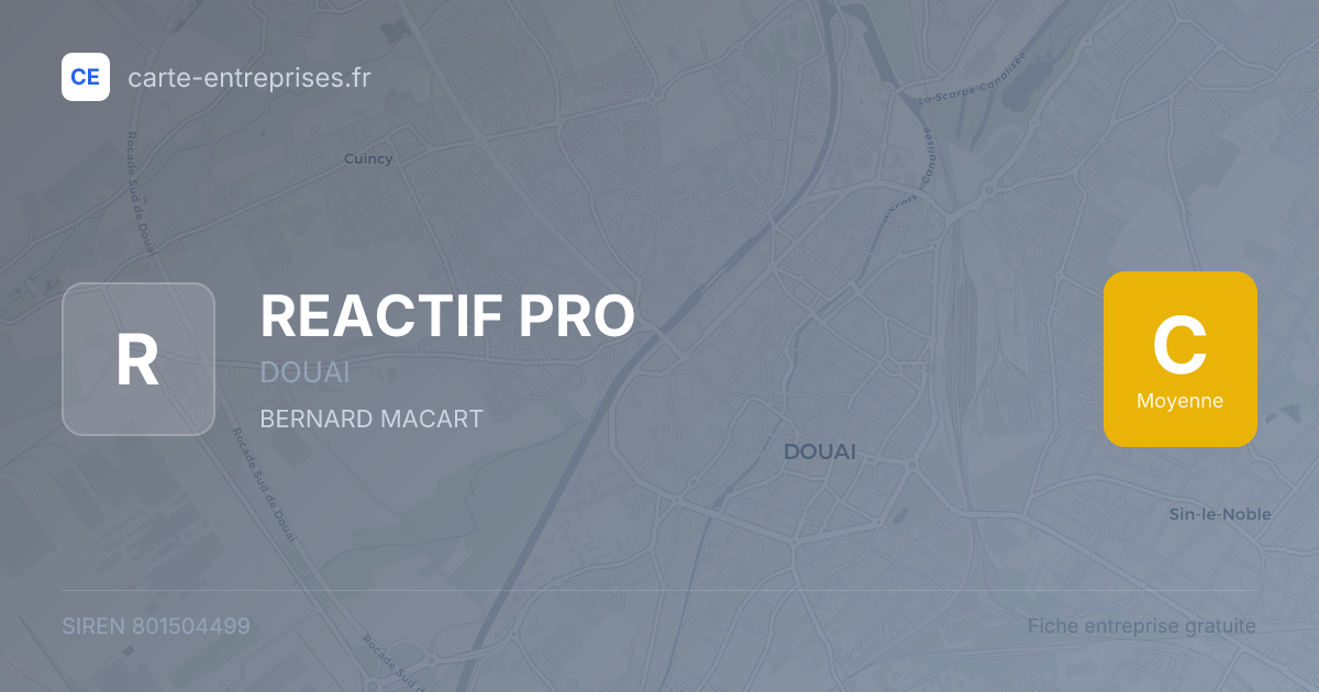 REACTIF PRO — 801504499 — fiche entreprise