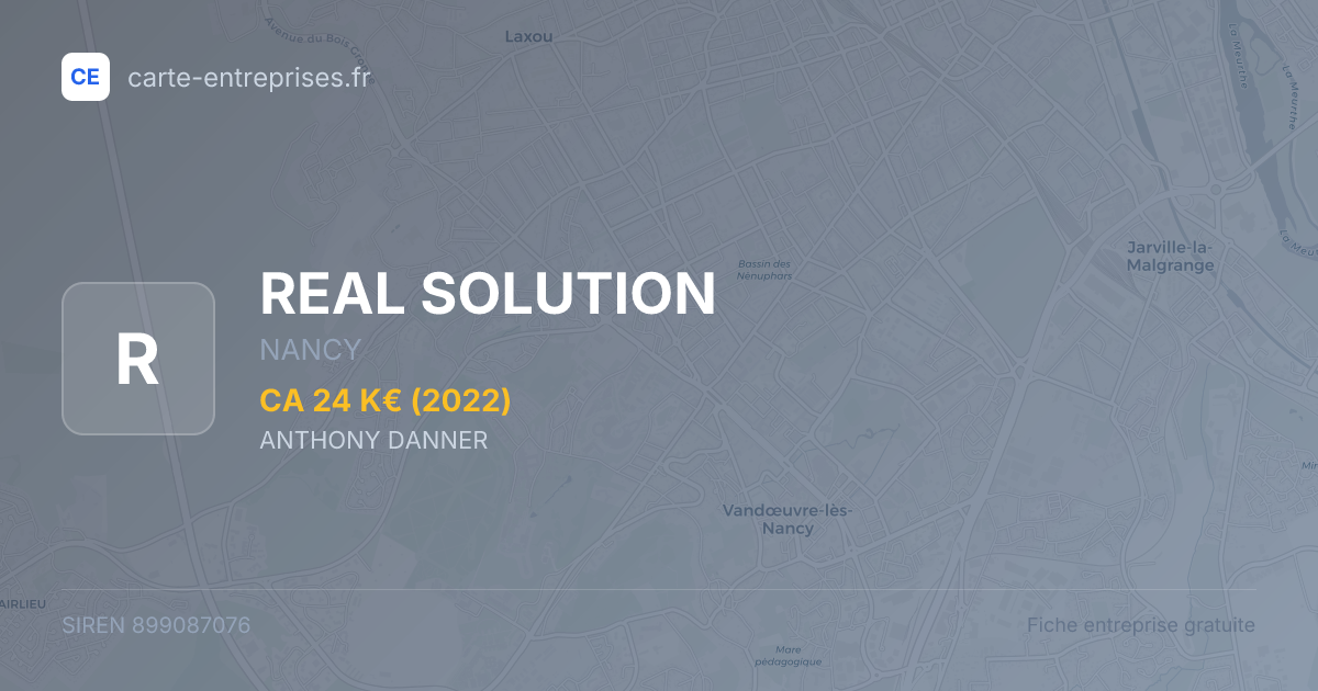 REAL SOLUTION — 899087076 — fiche entreprise