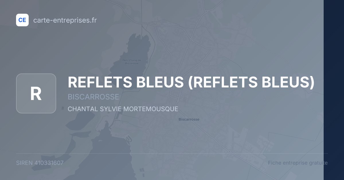 REFLETS BLEUS — 410331607 — fiche entreprise