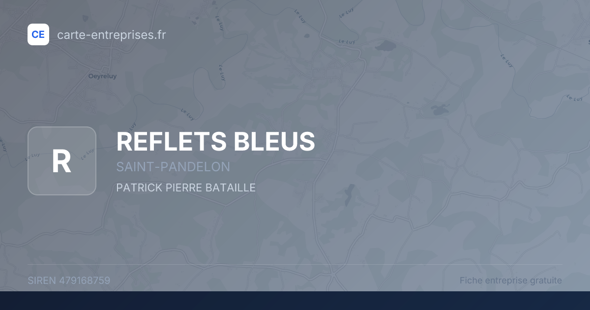 REFLETS BLEUS — 479168759 — fiche entreprise