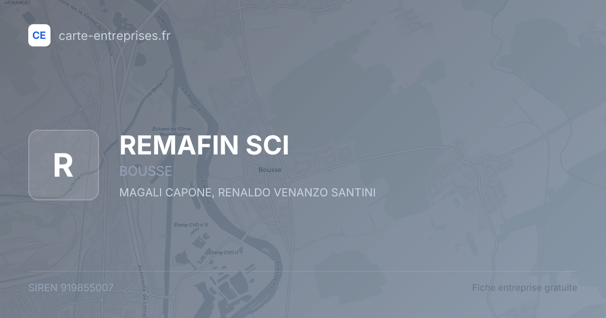 REMAFIN SCI — 919855007 — fiche entreprise