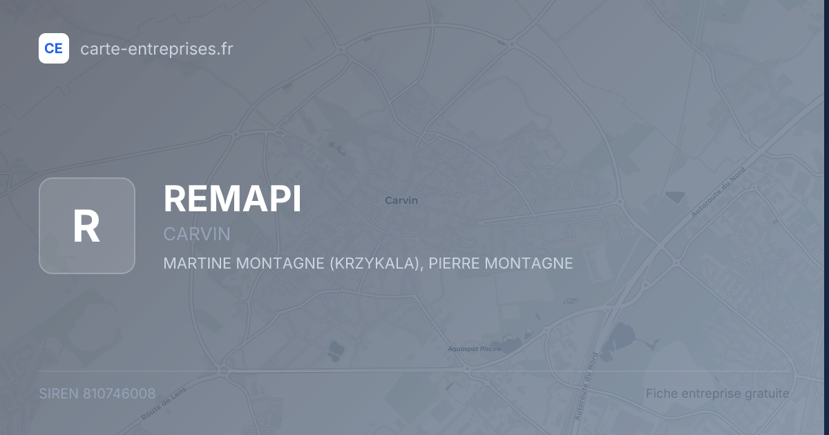 REMAPI — 810746008 — fiche entreprise