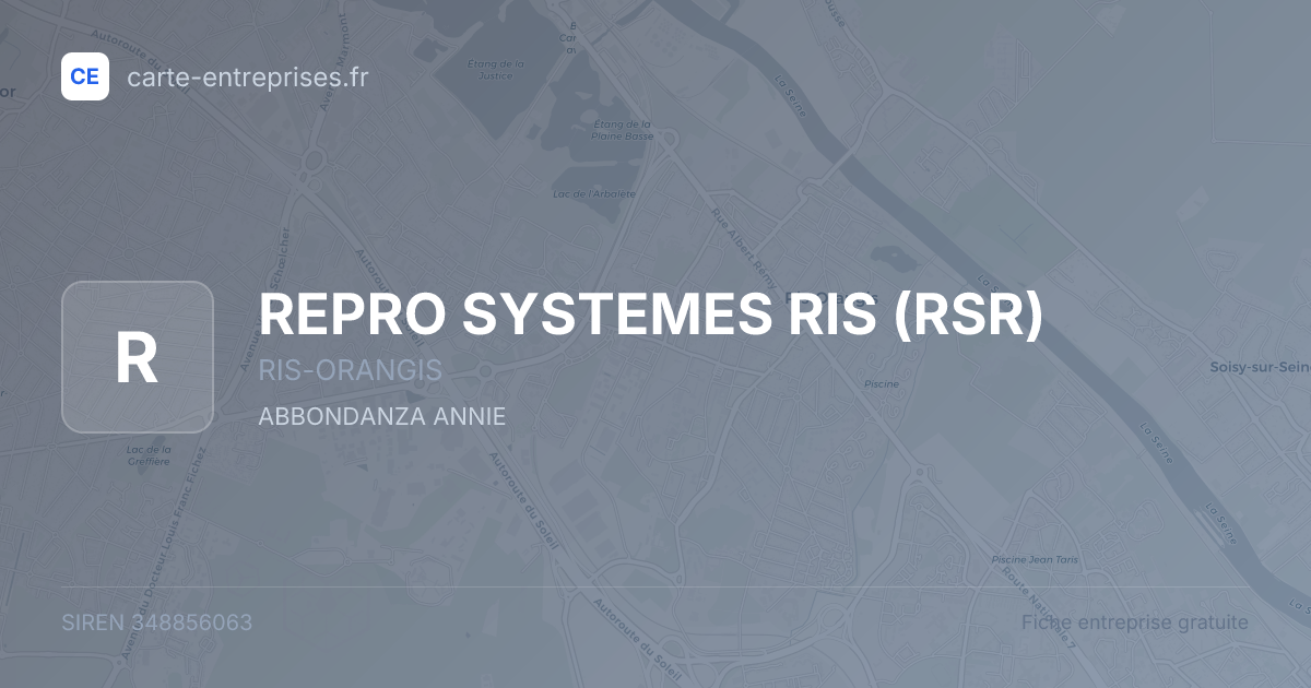 REPRO SYSTEMES RIS (RSR) — 348856063 — fiche entreprise