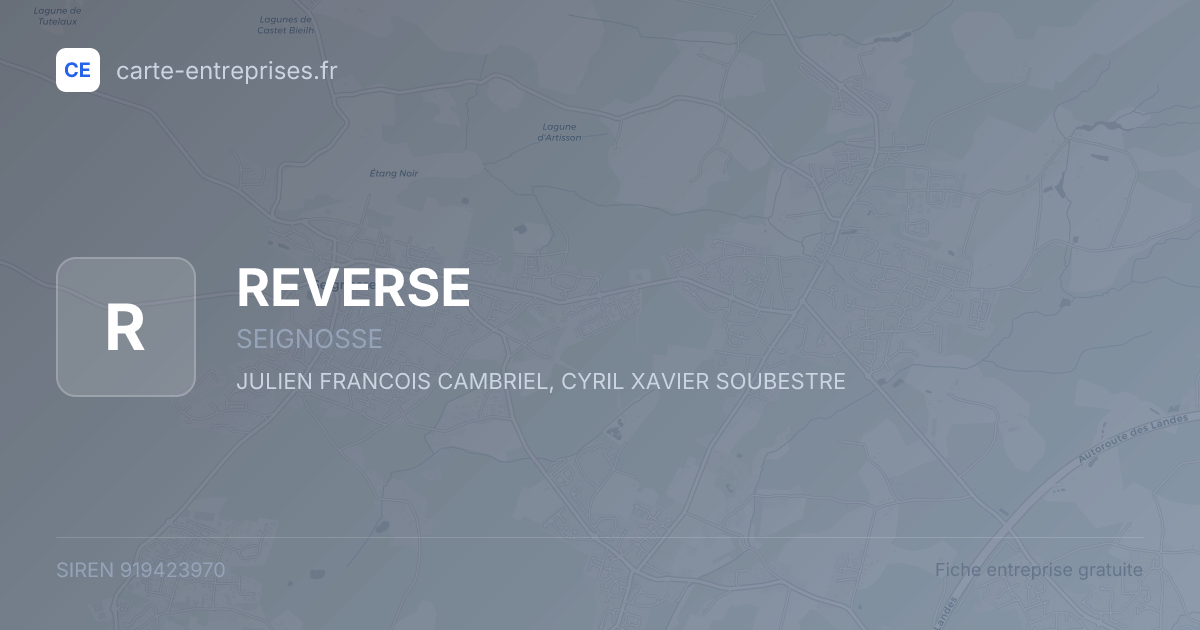 REVERSE — 919423970 — fiche entreprise