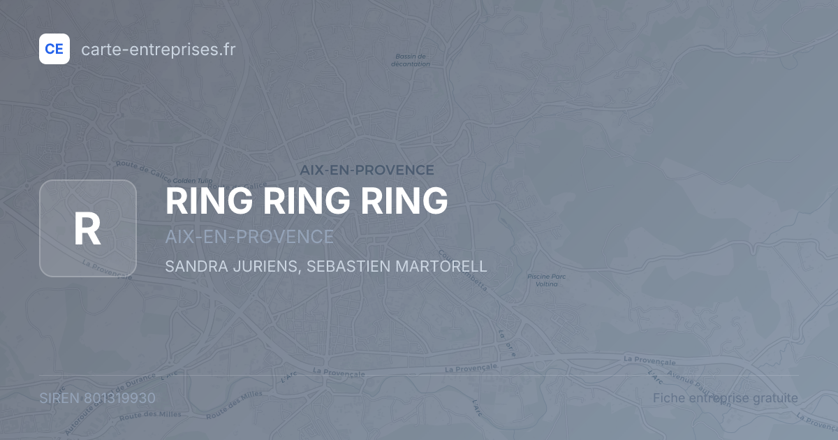 RING RING RING — 801319930 — fiche entreprise