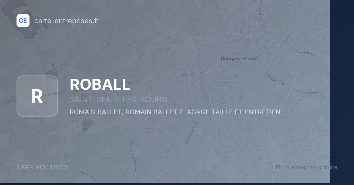 ROBALL — 913032900 — fiche entreprise