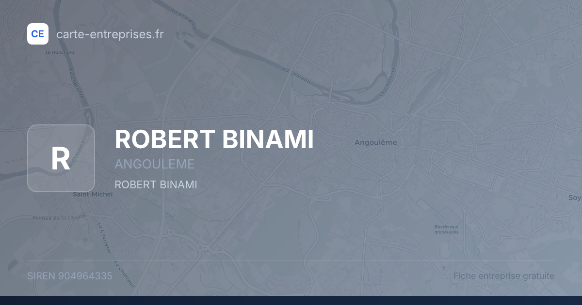 ROBERT BINAMI — 904964335 — fiche entreprise