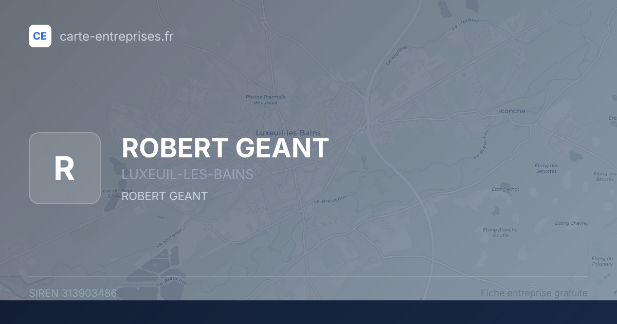 ROBERT GEANT — 313903486 — fiche entreprise