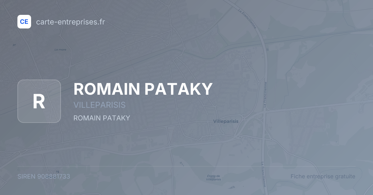 ROMAIN PATAKY — 908881733 — fiche entreprise