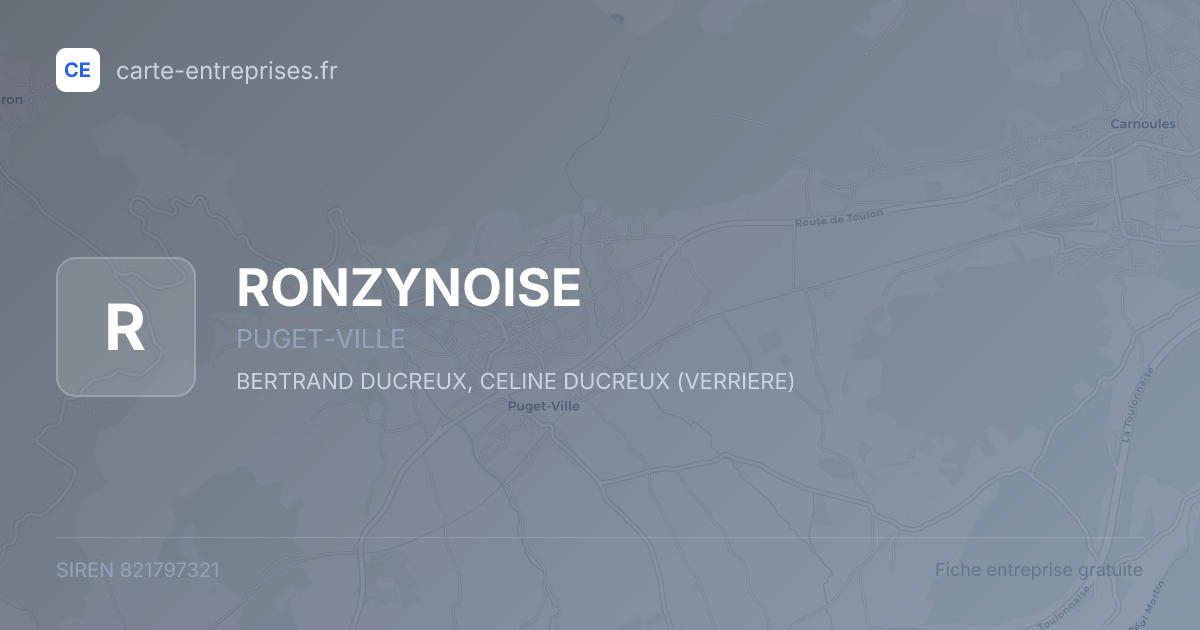 RONZYNOISE — 821797321 — fiche entreprise