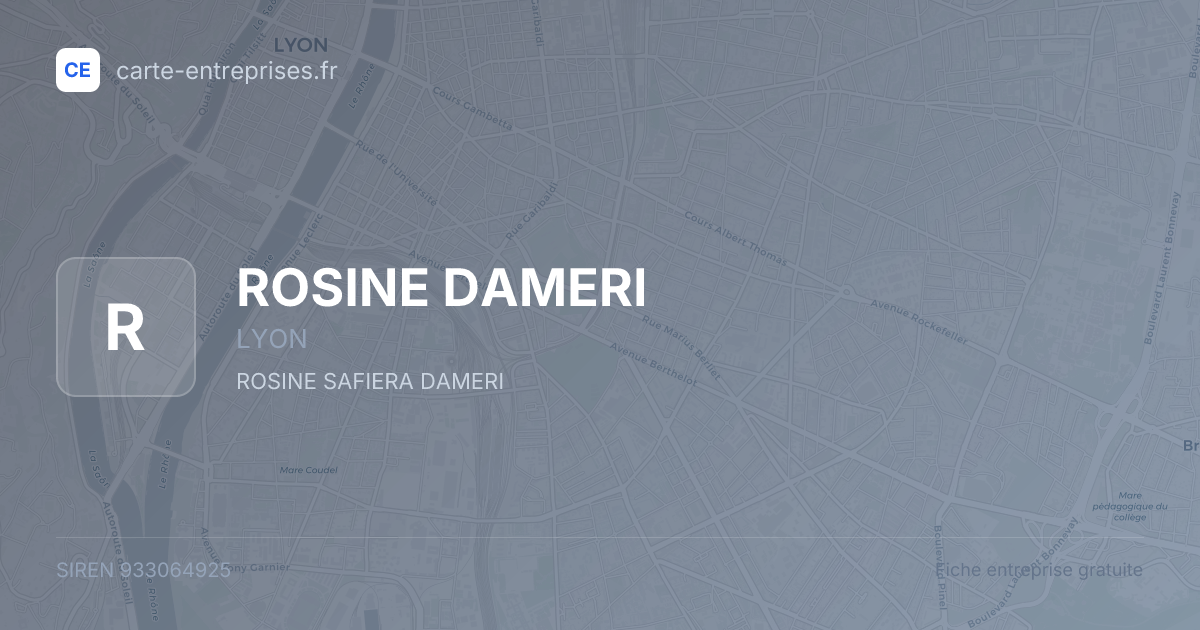 ROSINE DAMERI — 933064925 — fiche entreprise