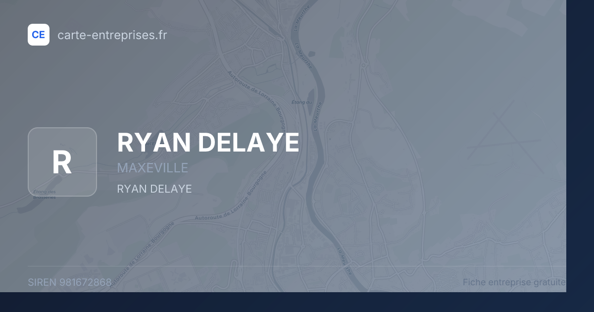 RYAN DELAYE — 981672868 — fiche entreprise