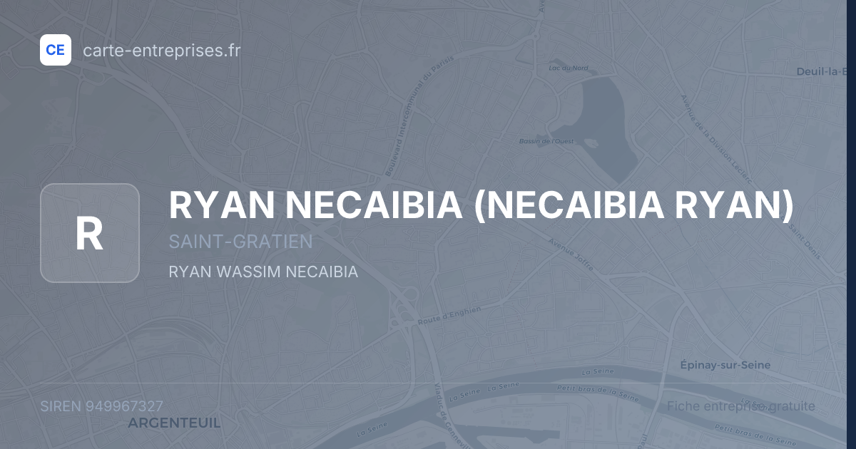 RYAN NECAIBIA (NECAIBIA RYAN) — 949967327 — fiche entreprise