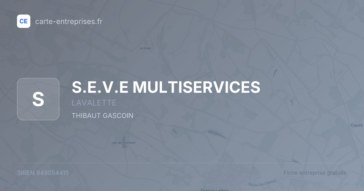 S.E.V.E MULTISERVICES — 949054415 — fiche entreprise
