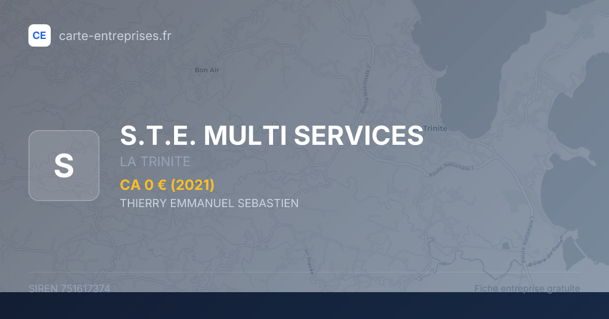 S.T.E. MULTI SERVICES — 751617374 — fiche entreprise