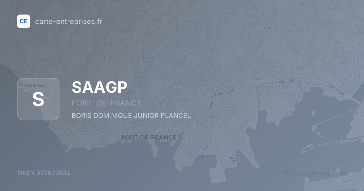 SAAGP — 993623503 — fiche entreprise