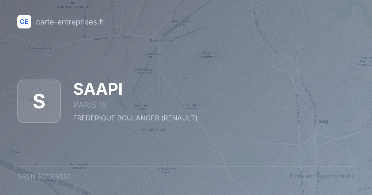 SAAPI — 807609565 — fiche entreprise