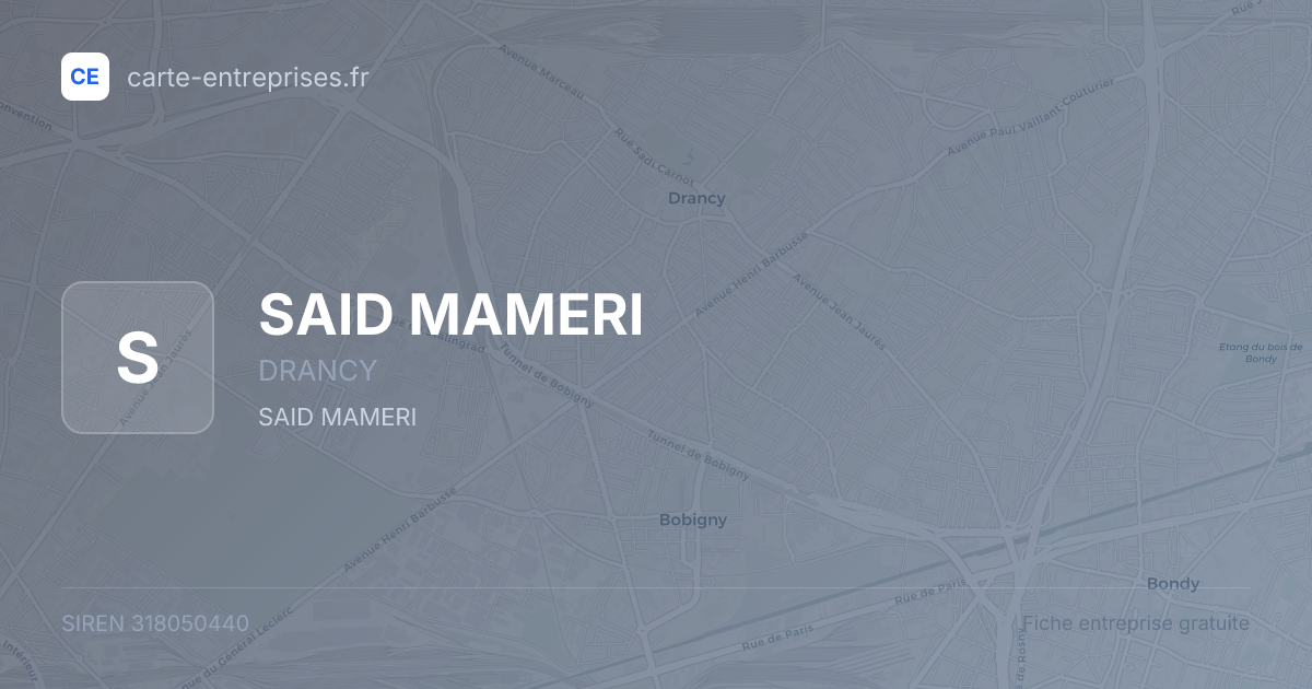 SAID MAMERI — 318050440 — fiche entreprise