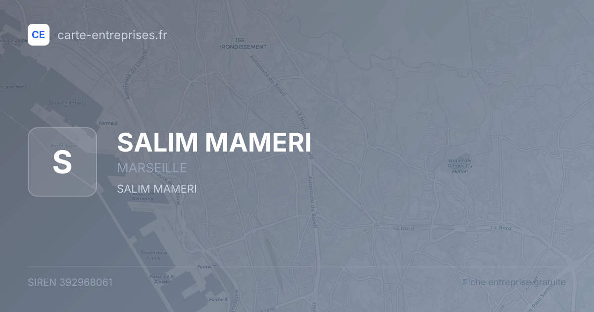 SALIM MAMERI — 392968061 — fiche entreprise