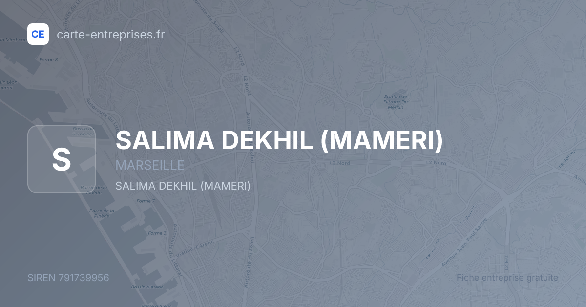 SALIMA DEKHIL (MAMERI) — 791739956 — fiche entreprise