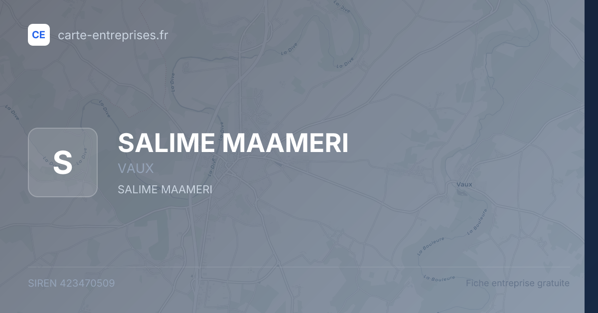 SALIME MAAMERI — 423470509 — fiche entreprise