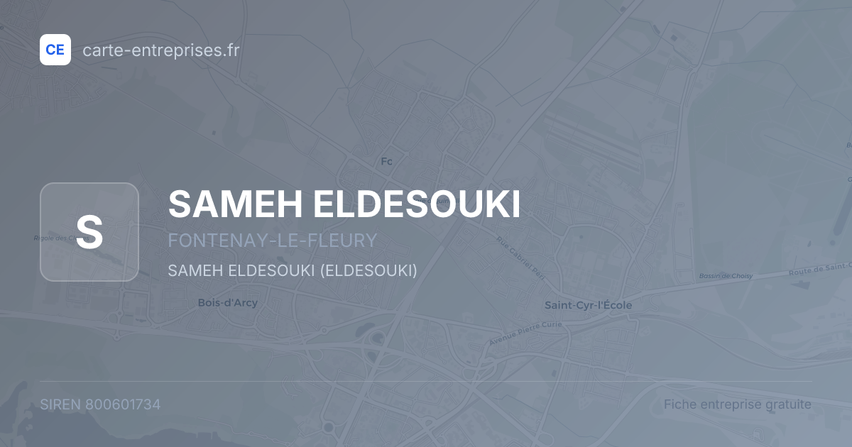 SAMEH ELDESOUKI — 800601734 — fiche entreprise