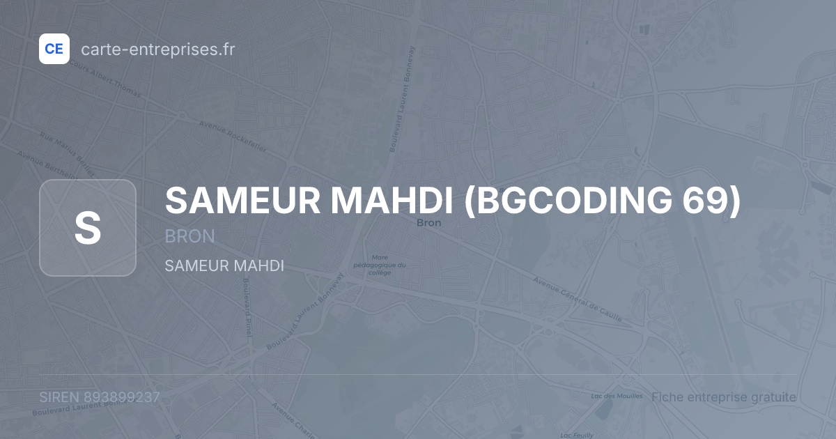 SAMEUR MAHDI (BGCODING 69) — 893899237 — fiche entreprise