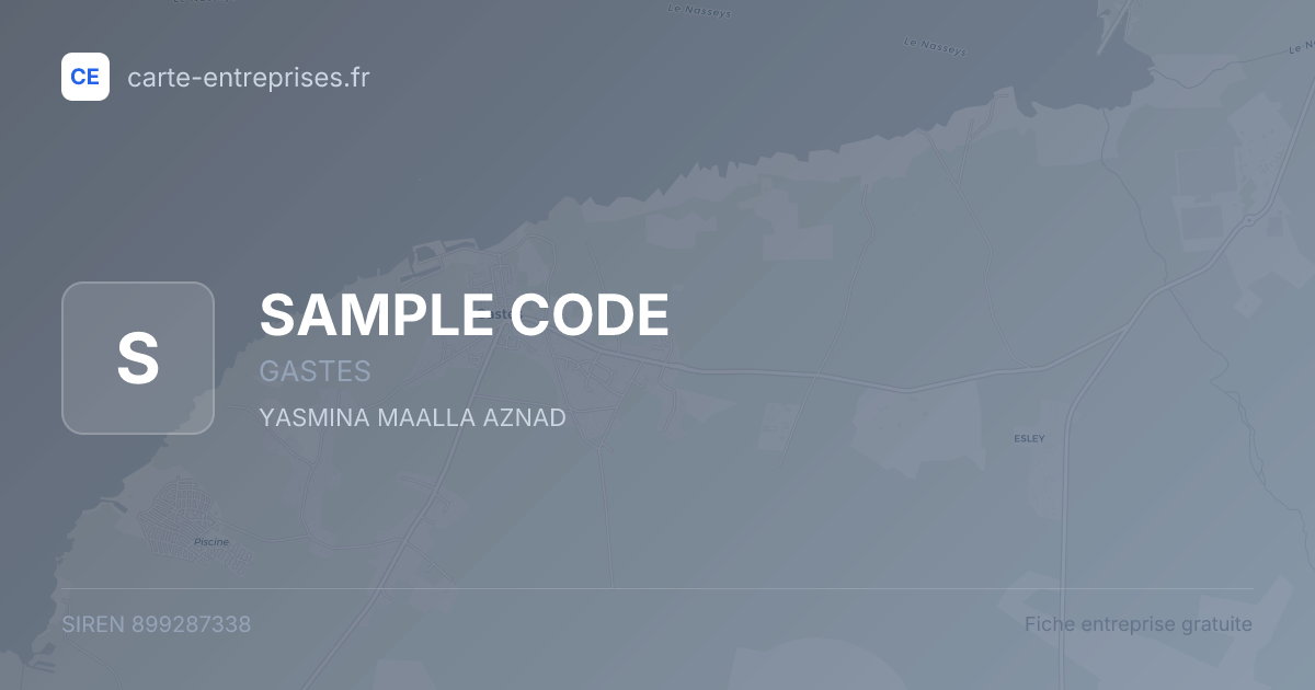 SAMPLE CODE — 899287338 — fiche entreprise
