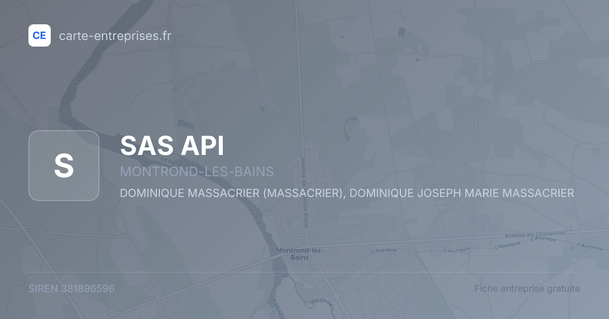 SAS API — 381896596 — fiche entreprise