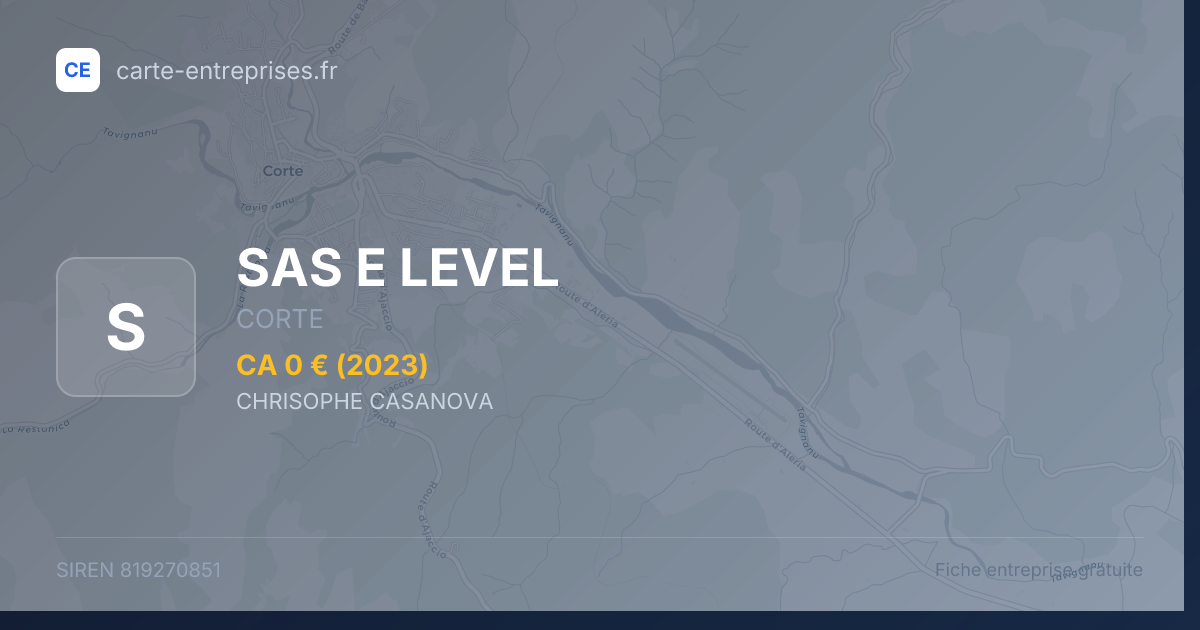 SAS E LEVEL — 819270851 — fiche entreprise