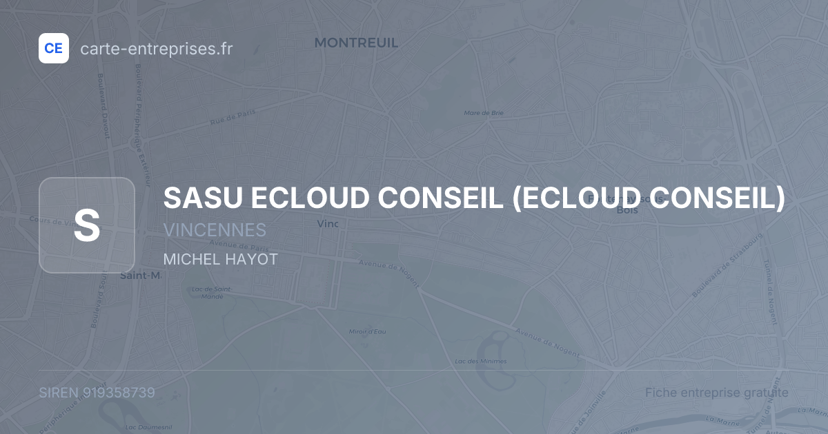 SASU ECLOUD CONSEIL (ECLOUD CONSEIL) — 919358739 — fiche entreprise