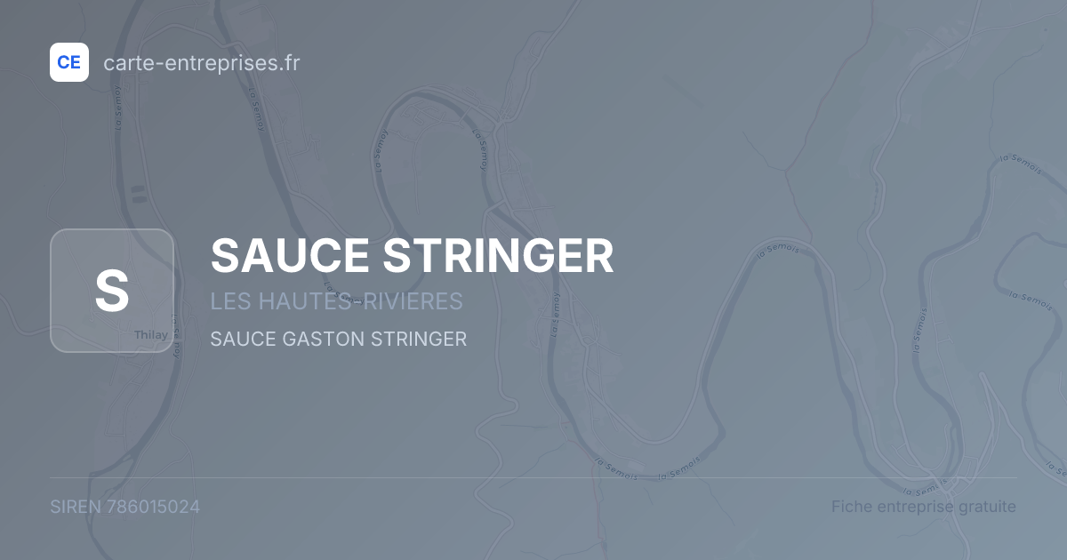 SAUCE STRINGER — 786015024 — fiche entreprise