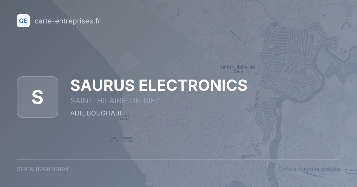 SAURUS ELECTRONICS — 829650894 — fiche entreprise