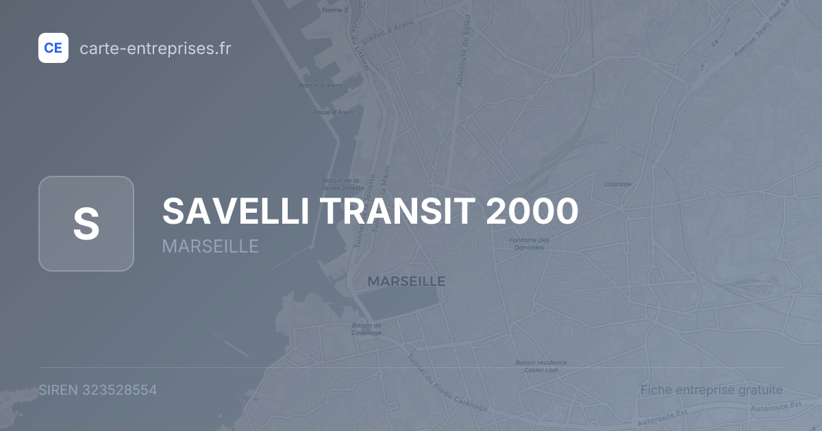 SAVELLI TRANSIT 2000 — 323528554 — fiche entreprise