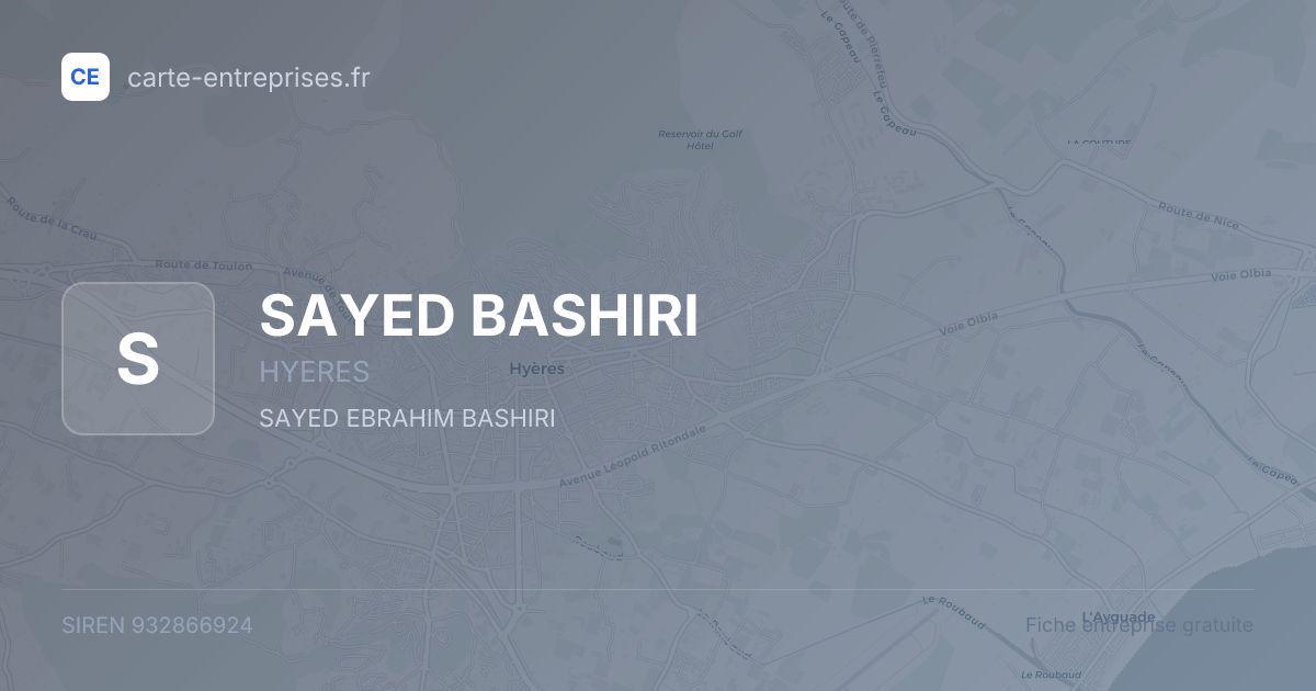 SAYED BASHIRI — 932866924 — fiche entreprise