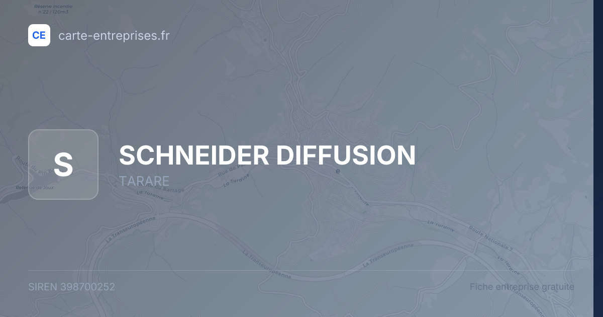 SCHNEIDER DIFFUSION — 398700252 — fiche entreprise