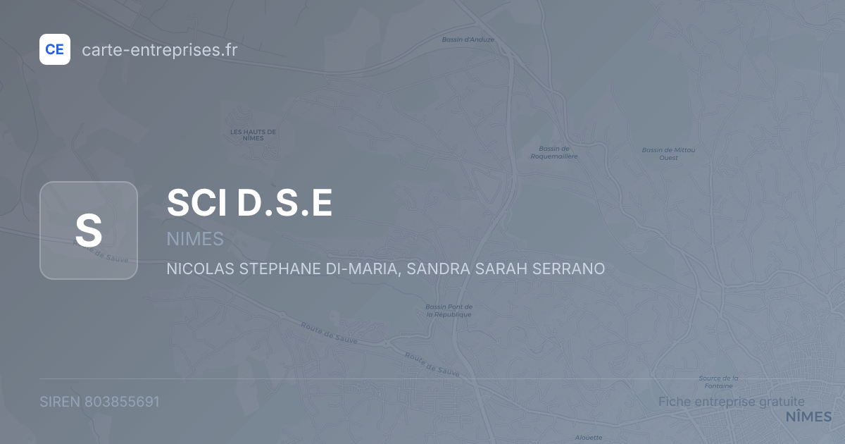 SCI D.S.E — 803855691 — fiche entreprise