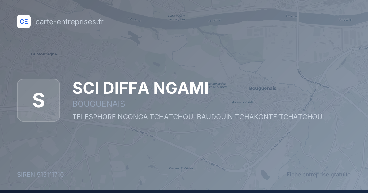 SCI DIFFA NGAMI — 915111710 — fiche entreprise