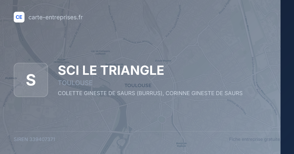 SCI LE TRIANGLE — 339407371 — fiche entreprise