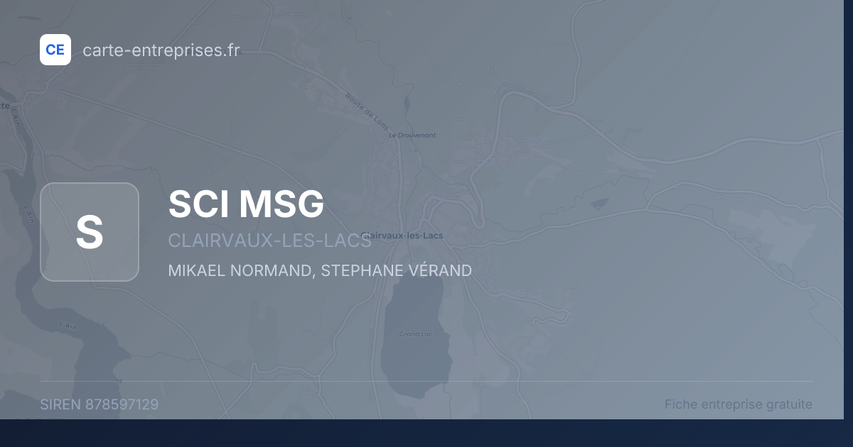 SCI MSG — 878597129 — fiche entreprise