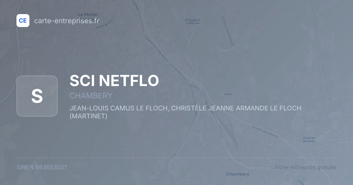 SCI NETFLO — 993653021 — fiche entreprise