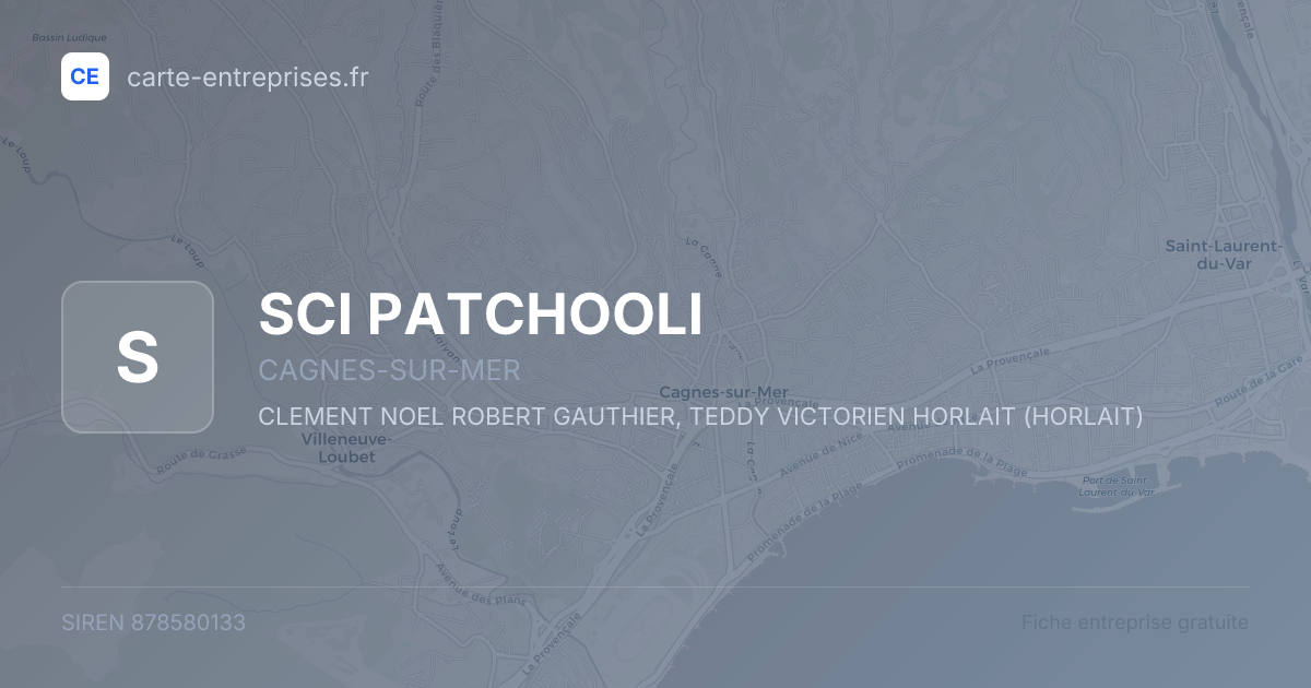 SCI PATCHOOLI — 878580133 — fiche entreprise